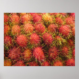Rambutan Tropical Fruit Poster