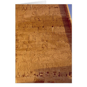 Ramesses III  hunting wild bulls