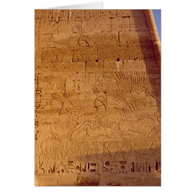 Ramesses III  hunting wild bulls (Front)