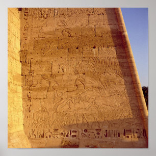 Ramesses III hunting wild bulls Poster