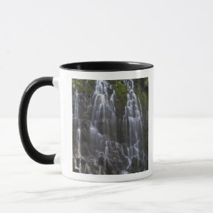 Ramona Falls in Clackamas county, Oregon Mug