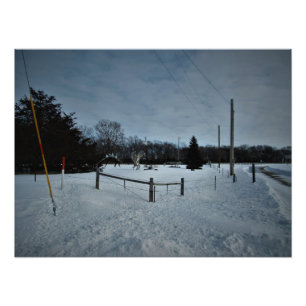 "Rampage in the Park" Photo Print