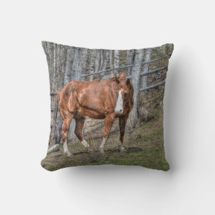 Ranch Horse Equine Photo Design for Animal-lovers Cushion