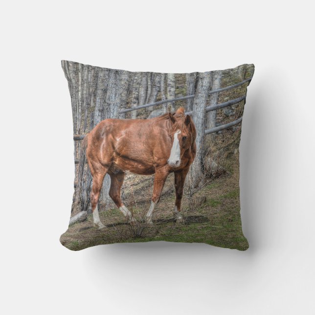 Ranch Horse Equine Photo Design for Animal-lovers Cushion (Front)