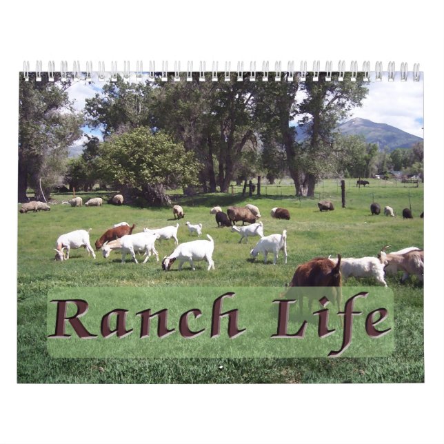 Ranch Life at the Blackman Ranch Calendar (Cover)