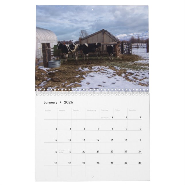 Ranch Life - Cattle Calendar (Jan 2026)