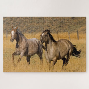 Ranch Living at The Ponderosa Ranch Jigsaw Puzzle