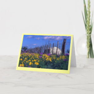 "Ranch Spring" Card