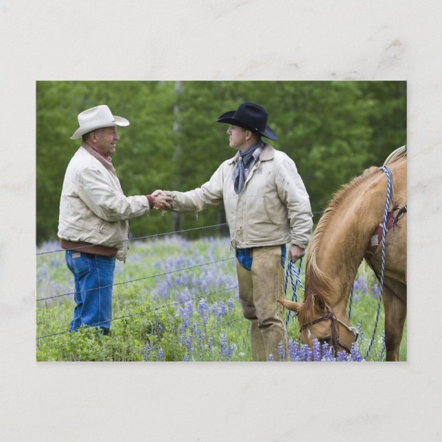 Ranchers shaking hands across the fencing in postcard (Front)
