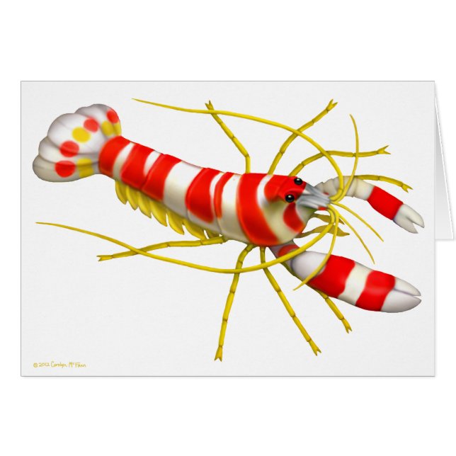 Randall's Pistol Shrimp Art Card (Front Horizontal)