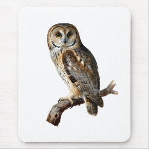 “Randolph” - A Watchful Silence, An Owl’s Portrait Mouse Pad