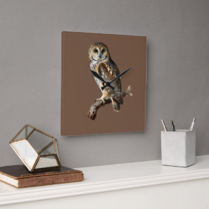 “Randolph” - A Watchful Silence, An Owl’s Portrait Square Wall Clock