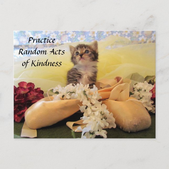 Random Act of Kindess Postcard - Ballerina Cat (Front)