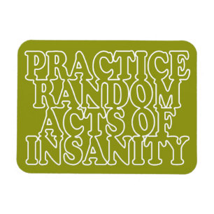 Random Acts of Insanity custom magnet