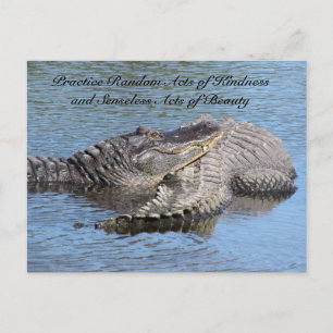 Random Acts of Kindness Postcard - Alligators