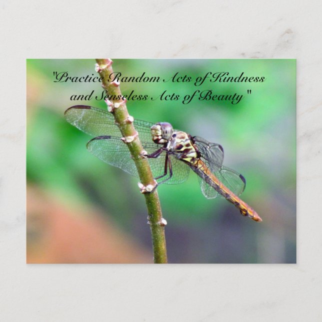 Random Acts of Kindness Postcard - Dragonfly (Front)