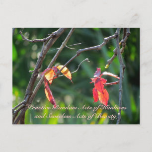 Random Acts of Kindness Postcard - Fall Leaves
