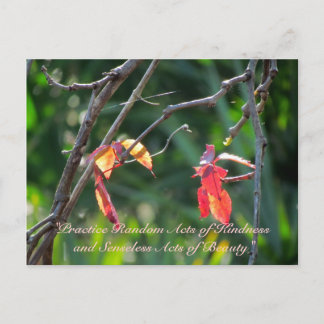 Random Acts of Kindness Postcard - Fall Leaves