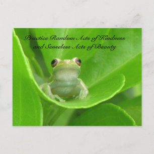 Random Acts of Kindness Postcard - Green Tree Frog