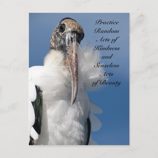 Random Acts of Kindness Postcard - Wood Stork (Front)