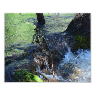 Random Beauty Photo Print