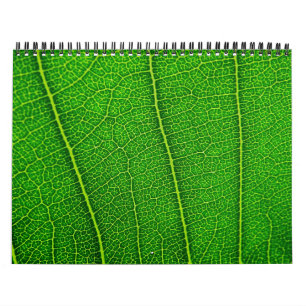 Random nature calendar