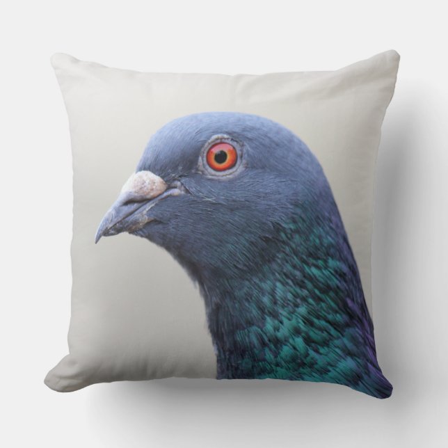 Random Pigeon Cushion (Front)