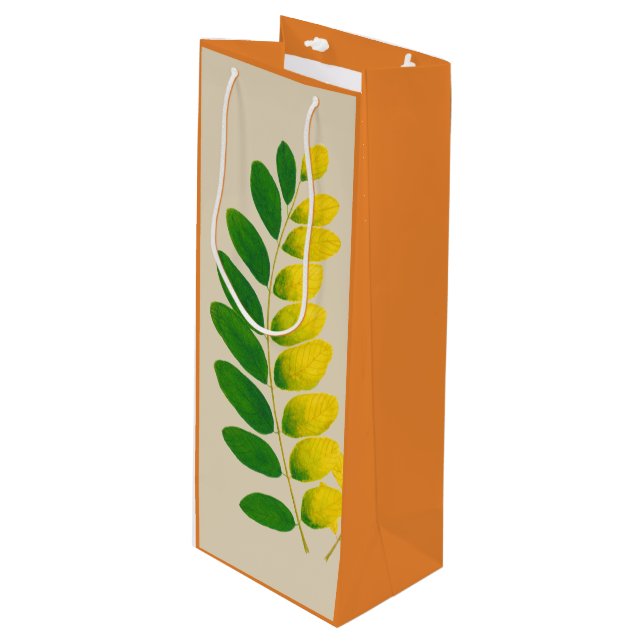 'Rang De Basanti' on a Gift Bag (Front Angled)