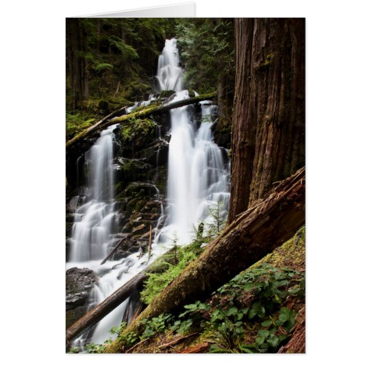 Ranger Falls Card