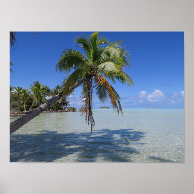 Rangiroa Blue Lagoon Tropical Palm Poster (Front)