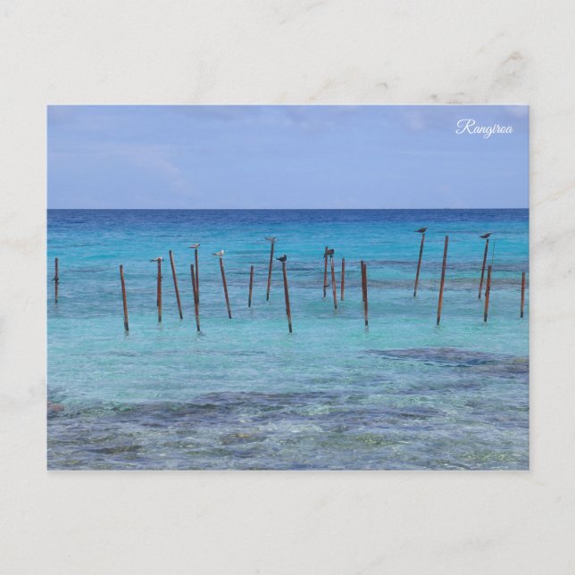 Rangiroa French Polynesia Postcard