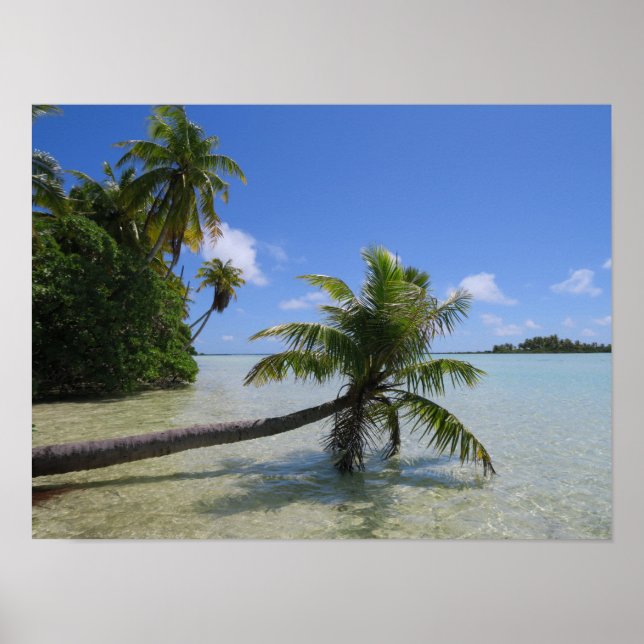 Rangiroa Palm Tree Poster (Front)