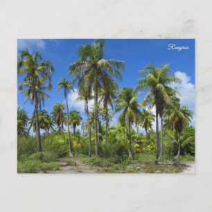 Rangiroa palm trees holiday postcard