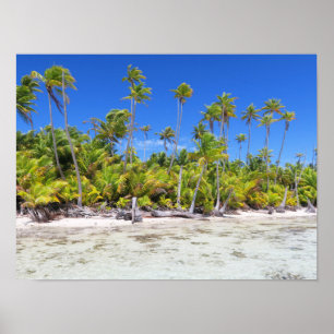 Rangiroa palm trees poster