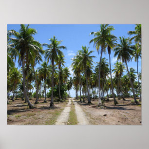 Rangiroa way to paradise poster