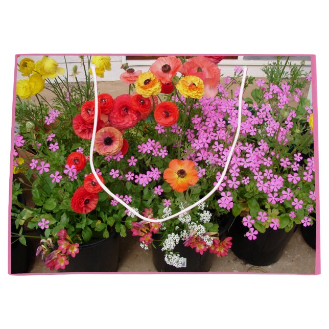 Rannunculus Spring Bulbs Birthday Cake Favour Box Large Gift Bag (Front)