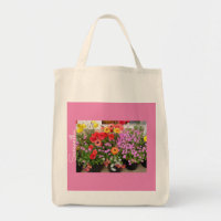 Rannunculus Spring Bulbs floral Flowers Flower