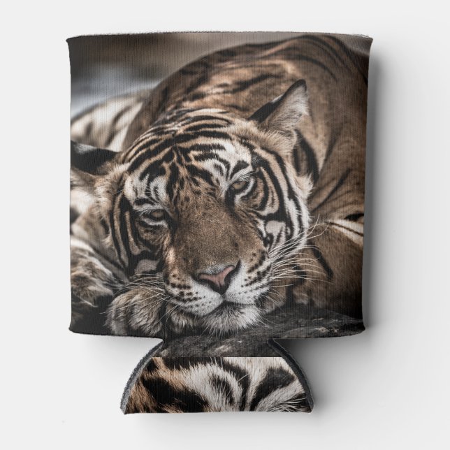 Ranthambore tiger: close-up fine art. can cooler (Front)