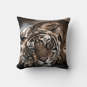 Ranthambore tiger: close-up fine art. cushion