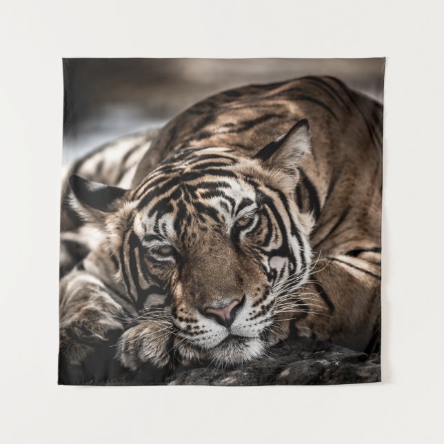 Ranthambore tiger: close-up fine art. tapestry (Front)