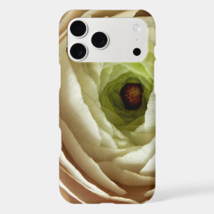 Ranunculus Flower