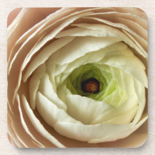 Ranunculus Flower Coaster
