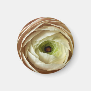 Ranunculus Flower Magnet