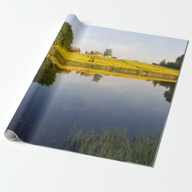 Rapeseed field wrapping paper (Unrolled)