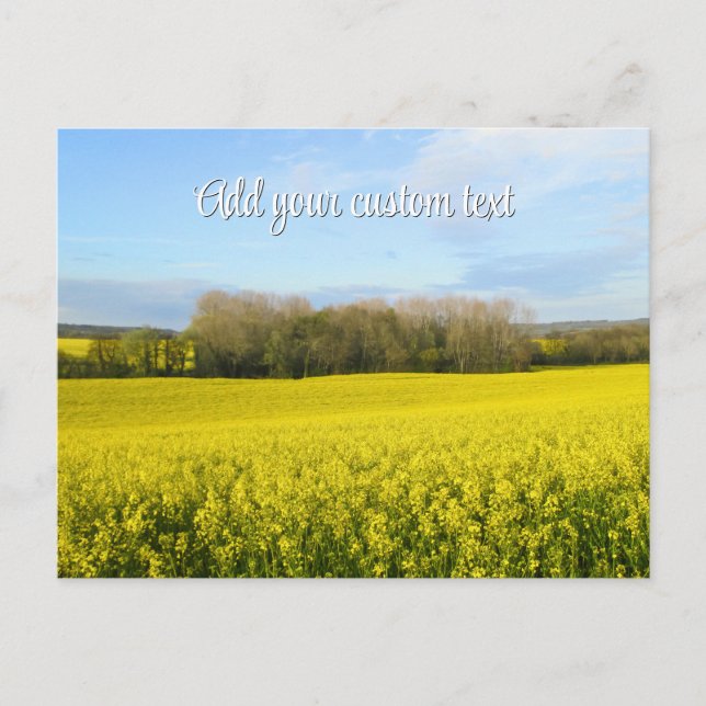 Rapeseed Fields Encircle the Forest - Personalized Postcard (Front)