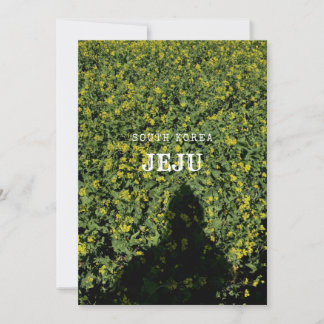 Rapeseed - Yellow Flower - 유채 - Volcano Island Holiday Card