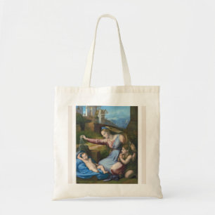Raphael Madonna of the Blue Diadem Small Tote Bag