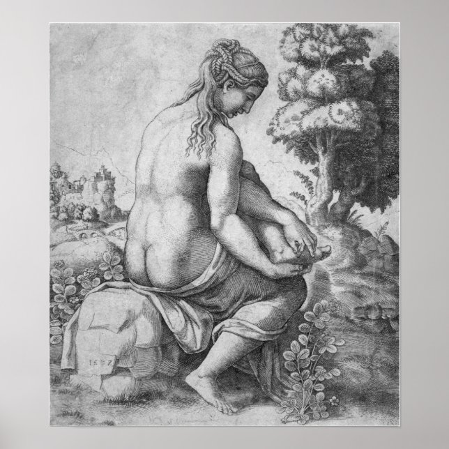 Raphael - Venus Removing A Thorn From Her Foot Poster (Front)