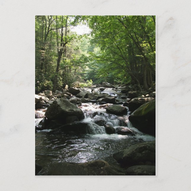 Rapids Postcard (Front)