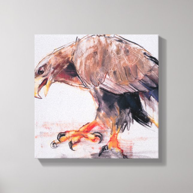 Raptor 2001 canvas print (Front)